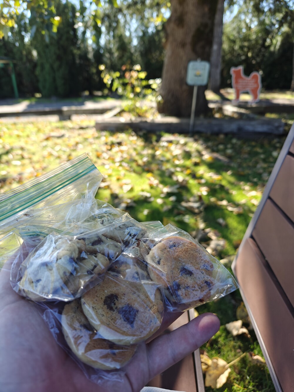 Free homemade cookies at Elma RV park!