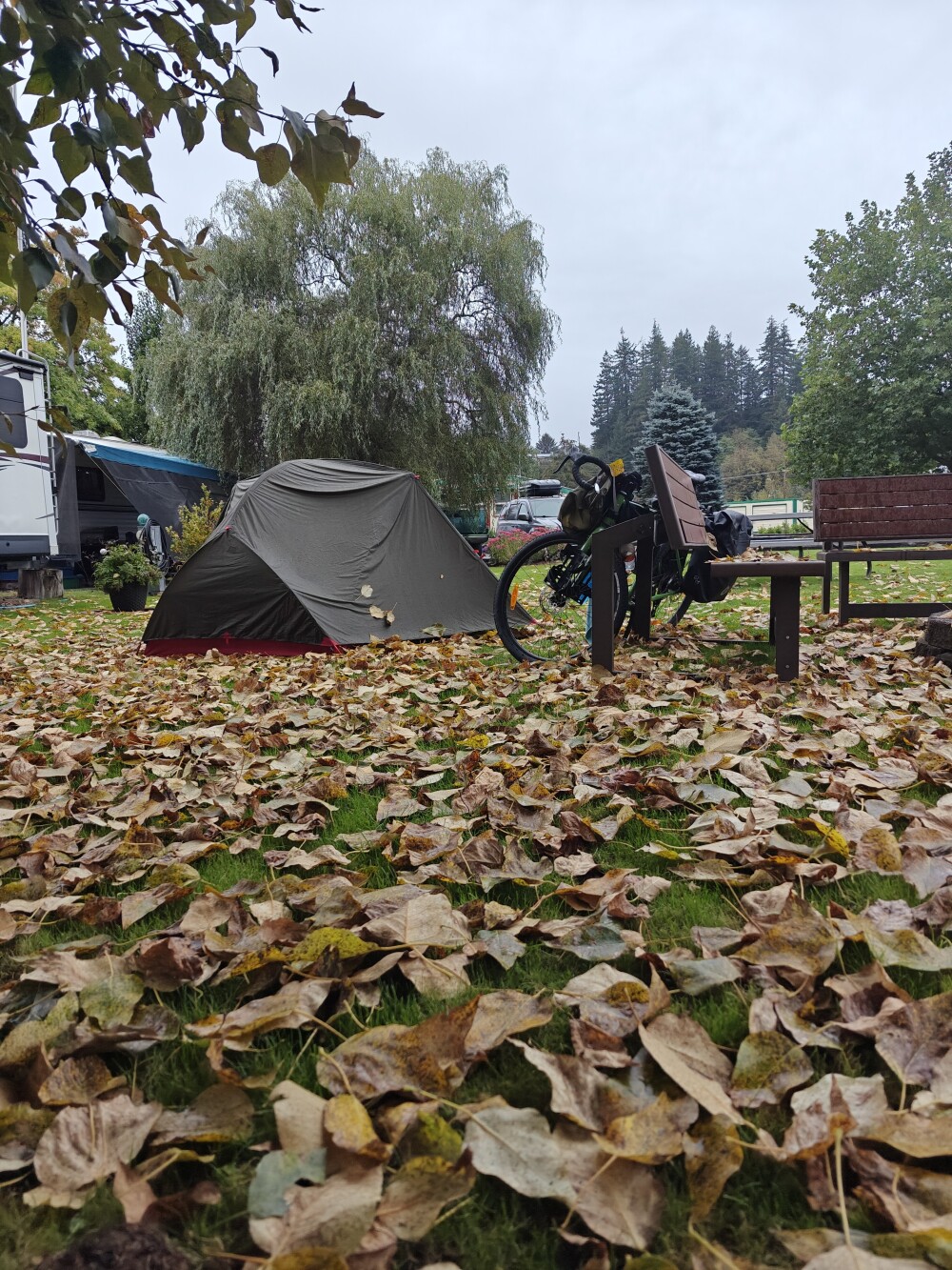 Rest day so 2nd night at this camp site.