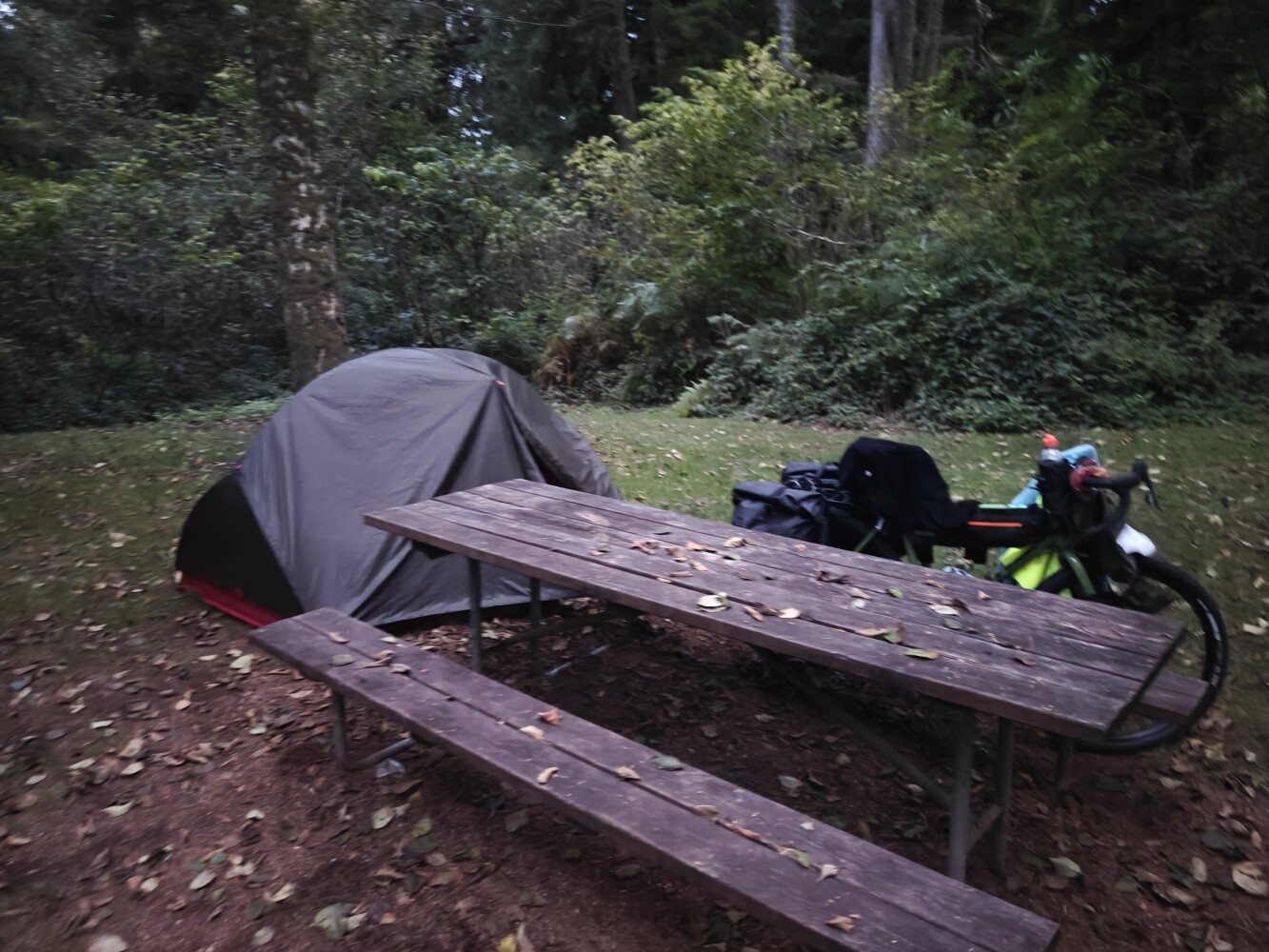 Camp for tonight
