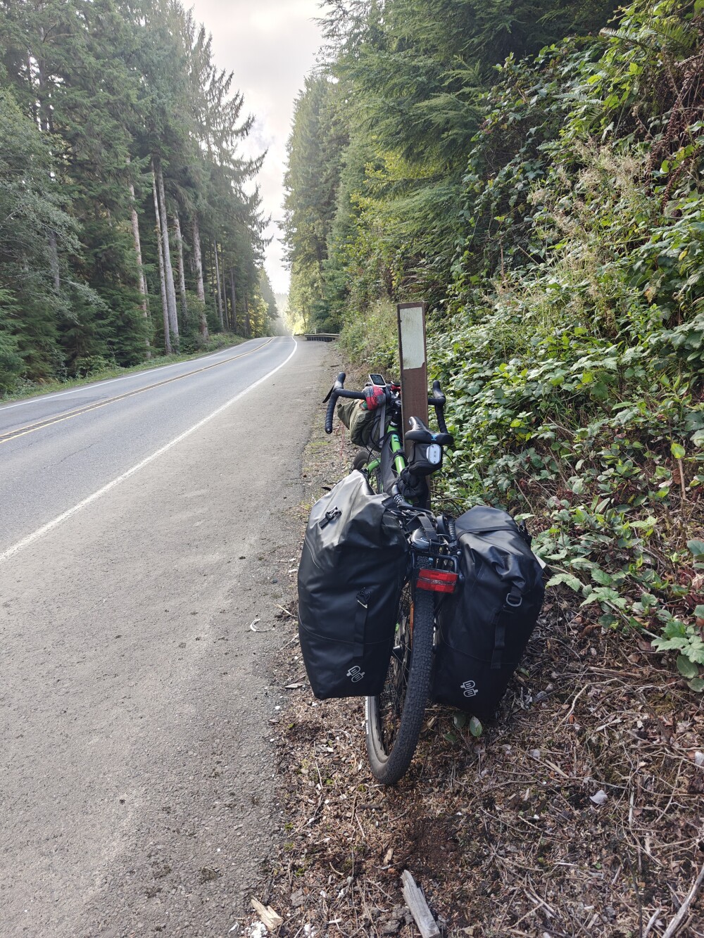 Lots of such forests today